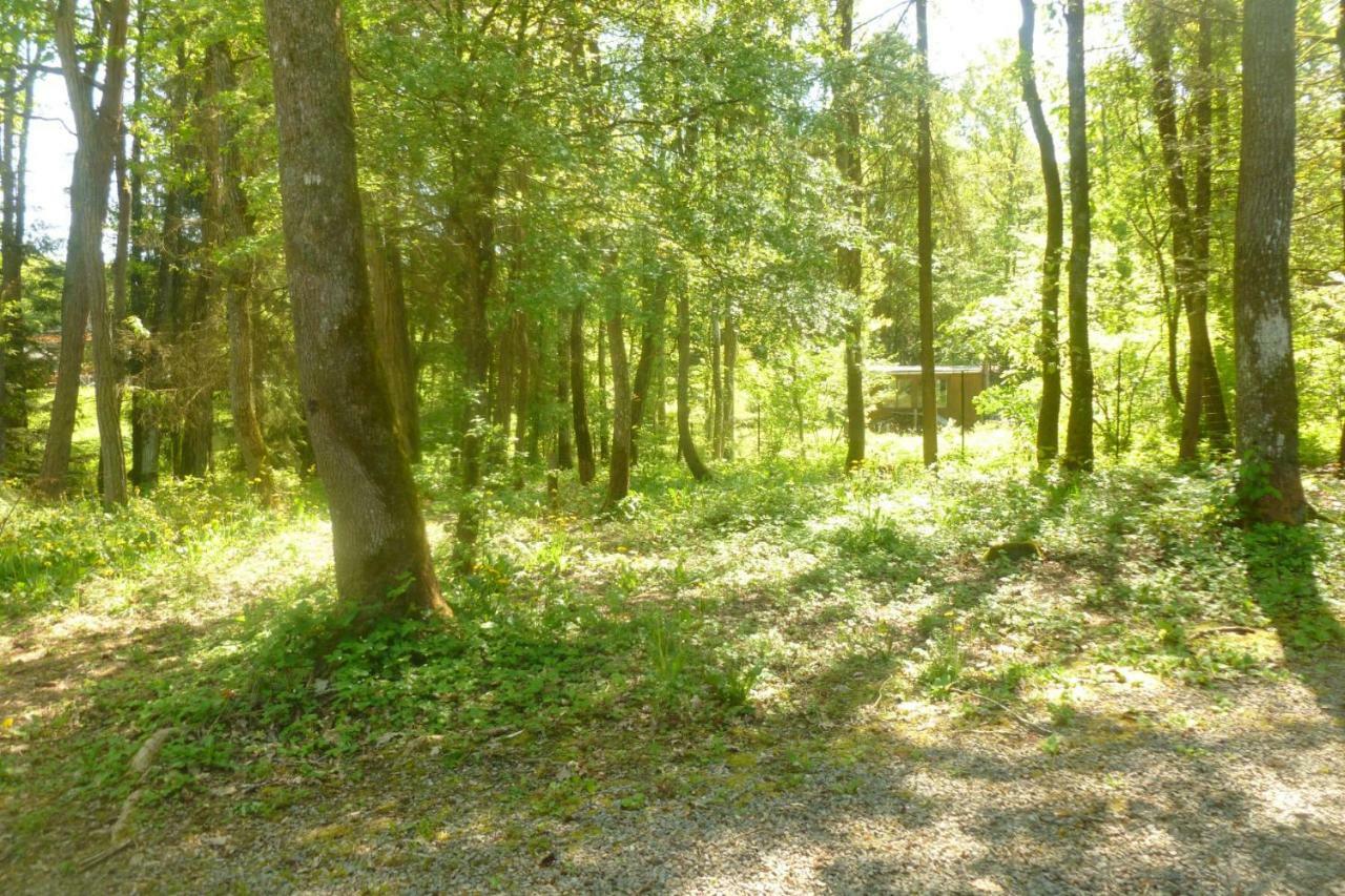 A L'Oree Du Bois Érezée エクステリア 写真